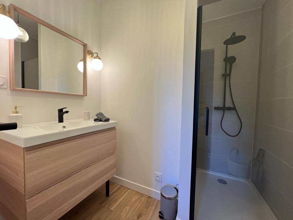 Appartement Coup De Coeur. St Etienne-Rochetaillee 생테티엔 외부 사진